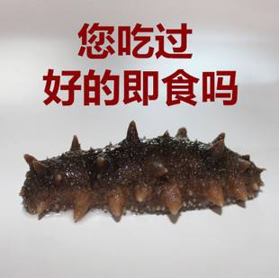 即食海參批發(fā)價(jià)解析 長島野生水發(fā)速食鮮海參的煙臺(tái)特產(chǎn)魅力