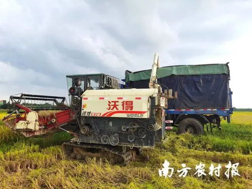 廣東各方協(xié)同行動，農(nóng)機服務(wù)筑牢農(nóng)業(yè)基本盤以應(yīng)對災(zāi)情挑戰(zhàn)